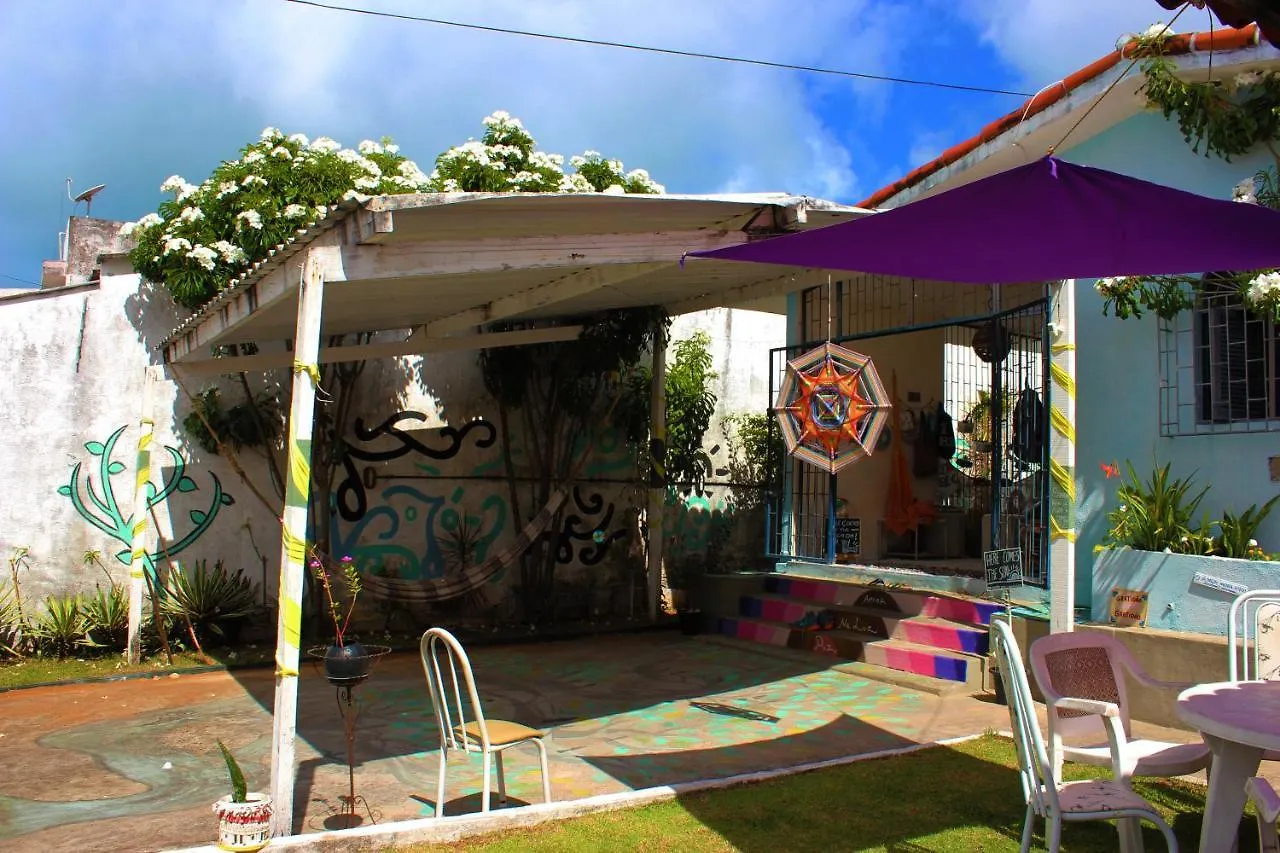 Bed & Breakfast Hostel Das Canarias Pium